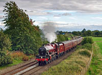 Galloping Galatea thumb