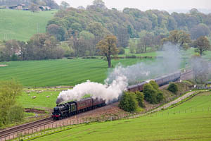 44932 - Steam in the Landscape th